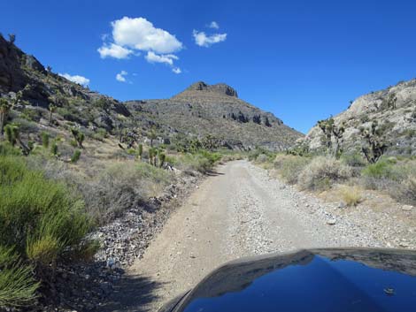 Mormon Well Road