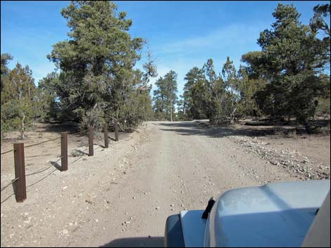 Mormon Well Road