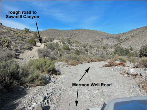 Mormon Well Road