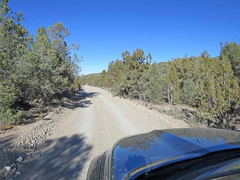 Mormon Well Road