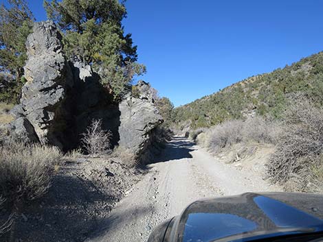 Mormon Well Road