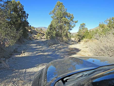 Mormon Well Road