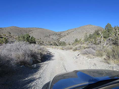 Mormon Well Road