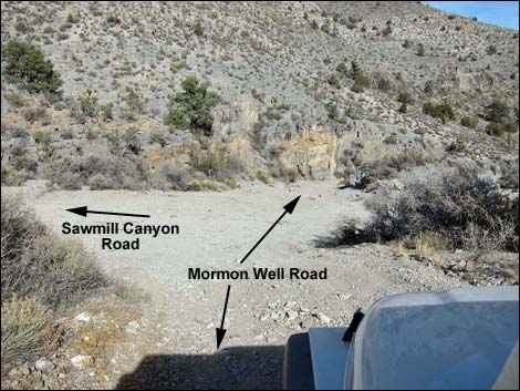 Mormon Well Road