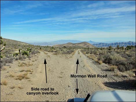 Mormon Well Road