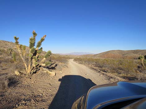 Mormon Well Road