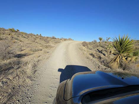 Mormon Well Road