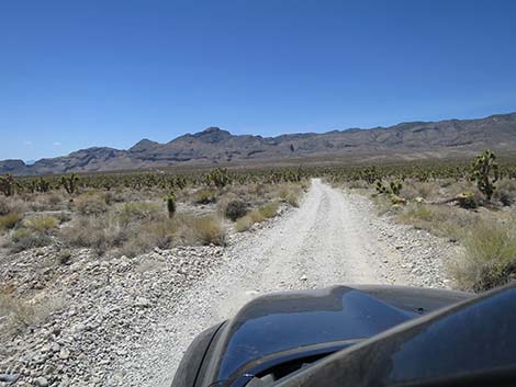 Mormon Well Road