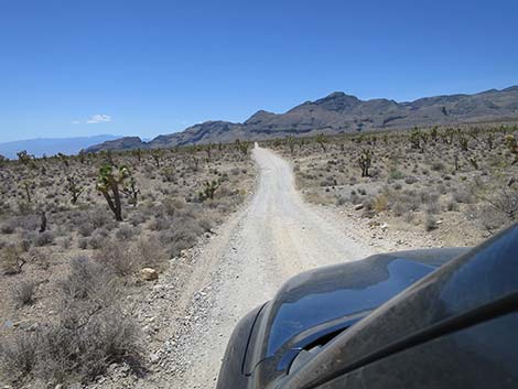 Mormon Well Road