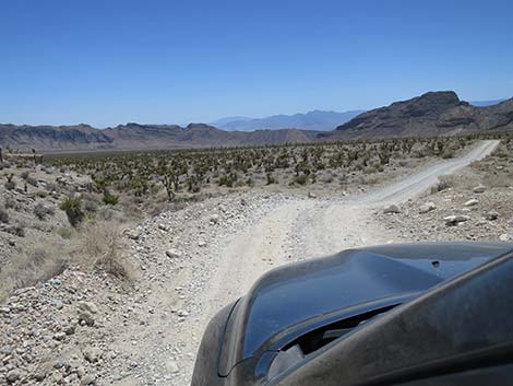 Mormon Well Road