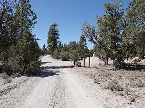 Mormon Well Road