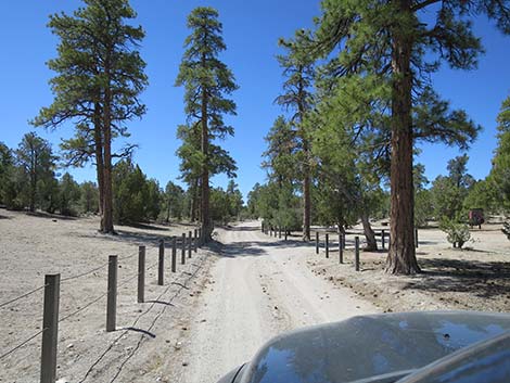 Mormon Well Road