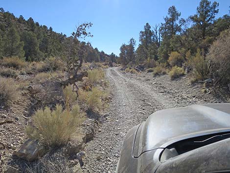 Mormon Well Road