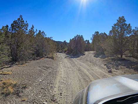 Mormon Well Road