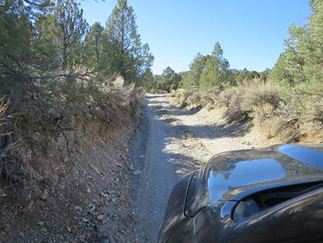 Mormon Well Road