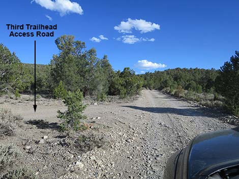 Mormon Well Road