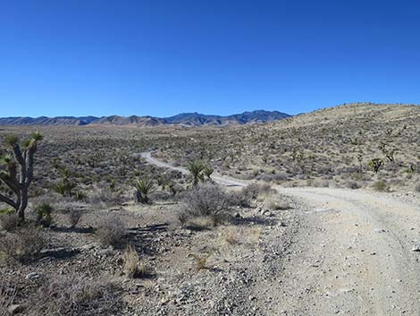 Mormon Well Road