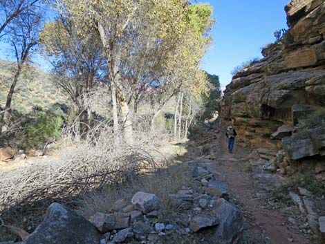 Bright Angel Trail