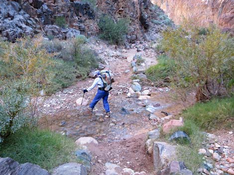 Bright Angel Trail