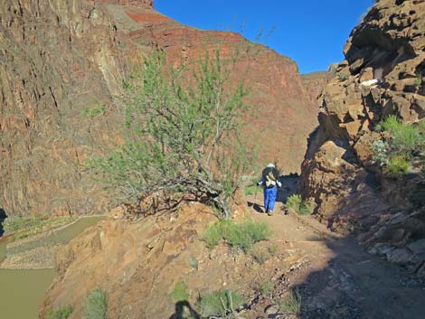 Bright Angel Trail