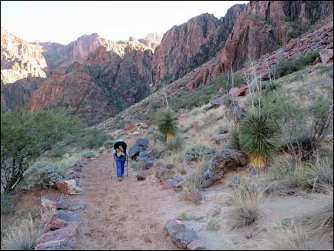 Bright Angel Trail