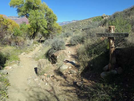 Bright Angel Trail