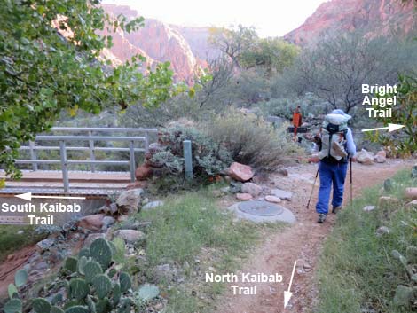 Bright Angel Trail