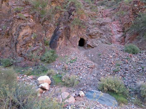 Bright Angel Trail