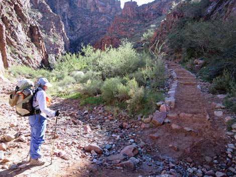 Bright Angel Trail