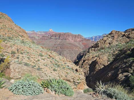 Bright Angel Trail