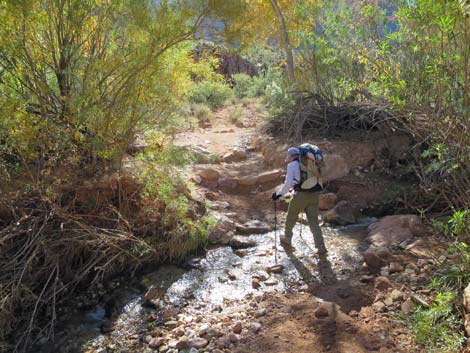 Bright Angel Trail