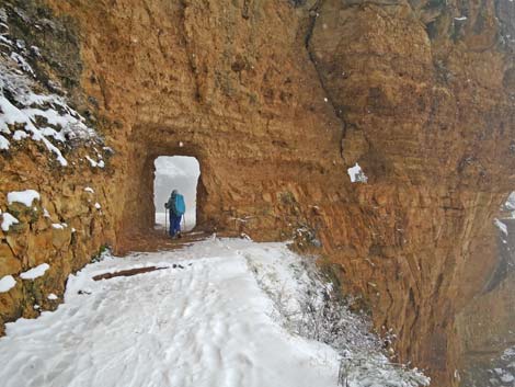 Bright Angel Trail