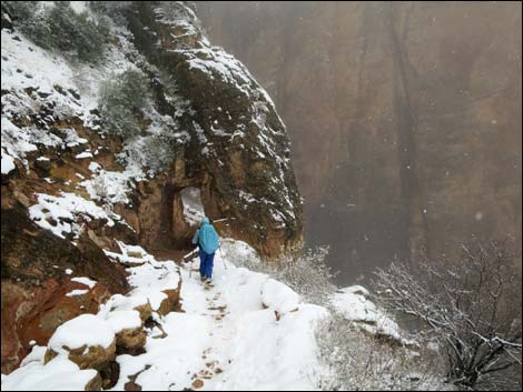 Bright Angel Trail