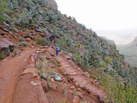 Bright Angel Trail