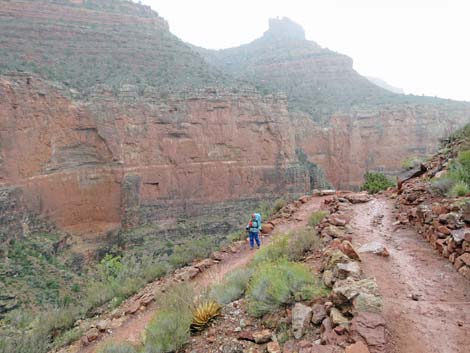 Bright Angel Trail