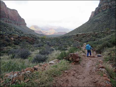 Bright Angel Trail