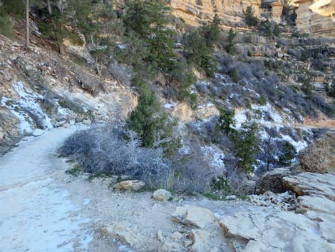 Bright Angel Trail