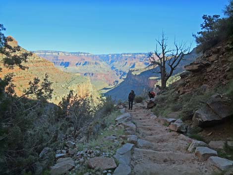 Bright Angel Trail