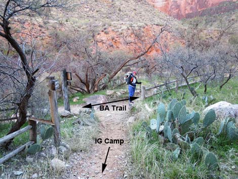 Bright Angel Trail