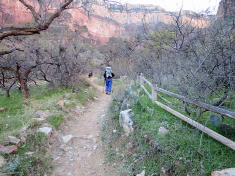 Bright Angel Trail