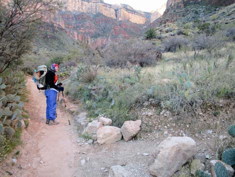 Bright Angel Trail