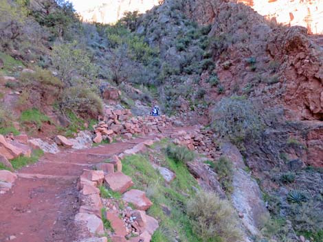 Bright Angel Trail