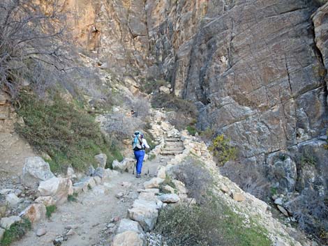 Bright Angel Trail