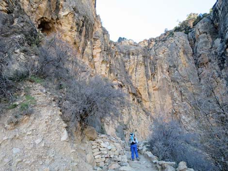 Bright Angel Trail