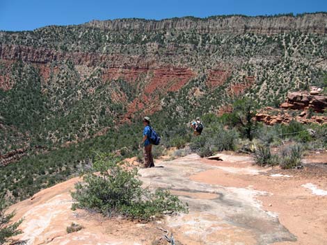 Old Cattle Trail