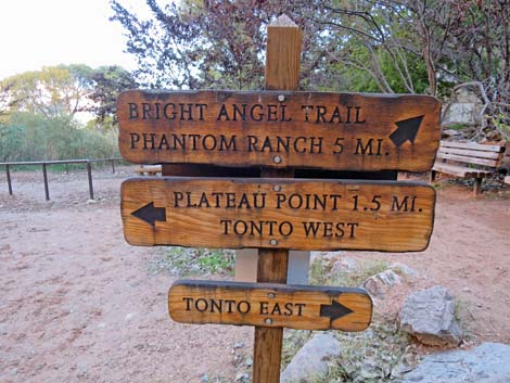 Plateau Point Trail