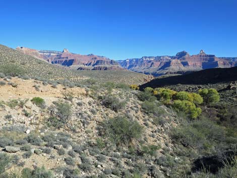 Plateau Point Trail