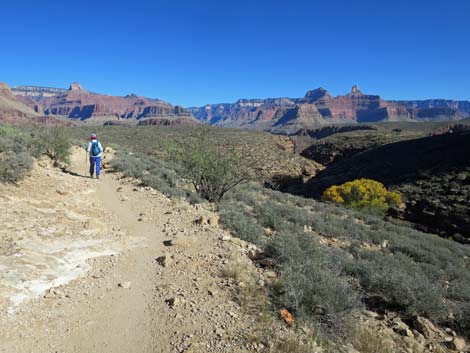 Plateau Point Trail