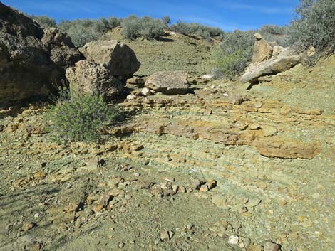 Plateau Point Trail