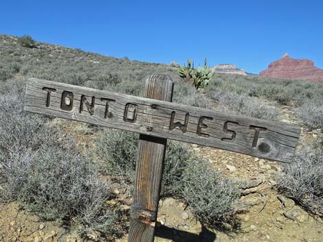 Plateau Point Trail